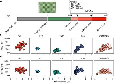 Use of hiPSC-Derived Cardiomyocytes to Rule Out Proarrhythmic Effects of Drugs: The Case of Hydroxychloroquine in COVID-19